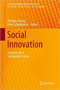 Social Innovation : Solutions for a Sustainable Future